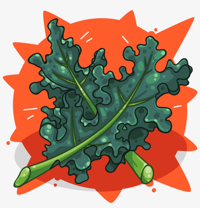 Kale - Curly Kale, transparent png download