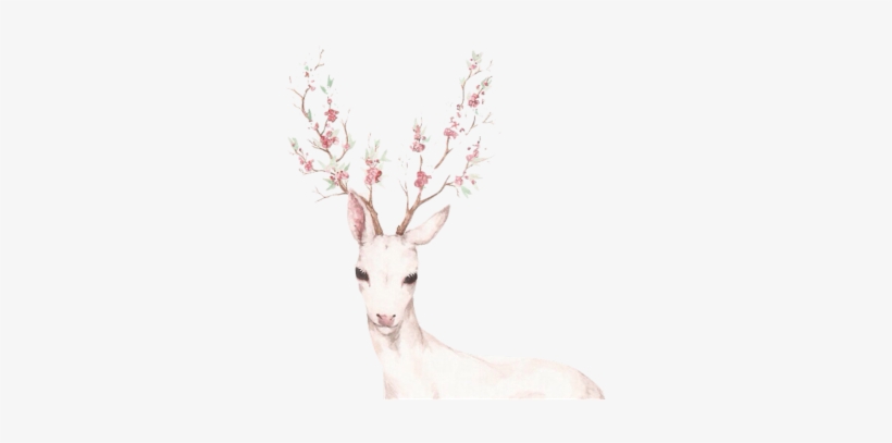 Deer Antlers, transparent png download