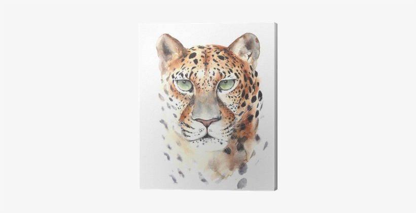 Leopard Big Cat Head Portrait Watercolor Painting Illustration - Painting, transparent png download