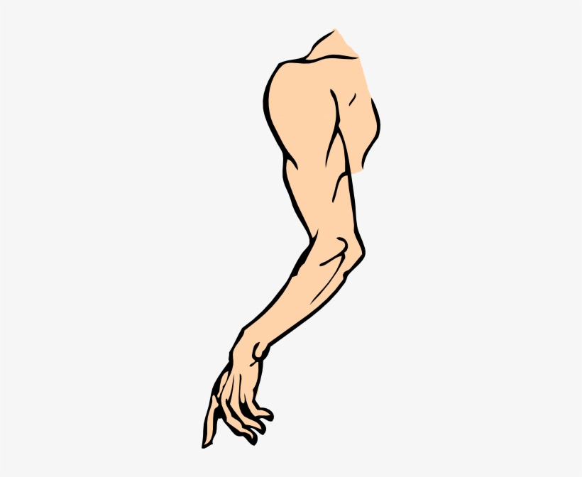 Cartoon Arms And Hands - Arm Clip Art, transparent png download