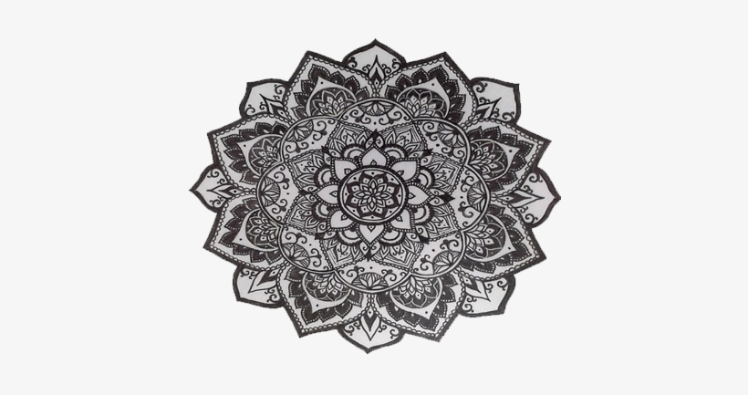 ☁ Transparents ☁ - Courtlynn156 Bright Colored Sneakers, transparent png download