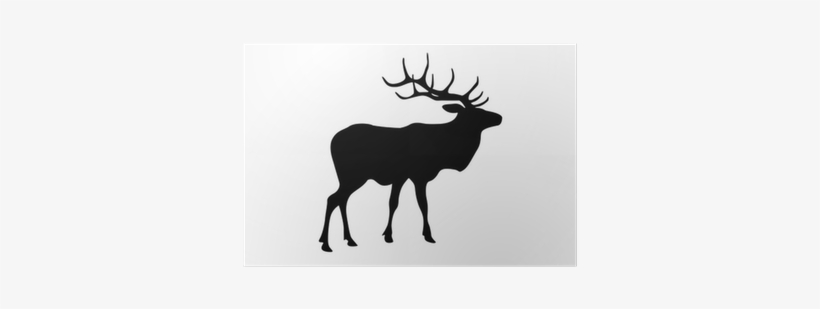 Deer, transparent png download
