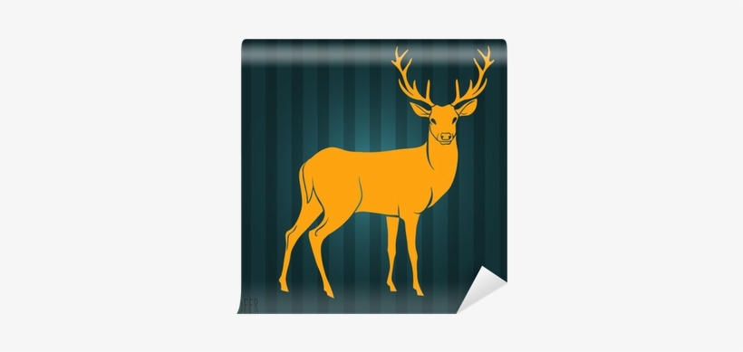 Iz Pokot Izle, transparent png download