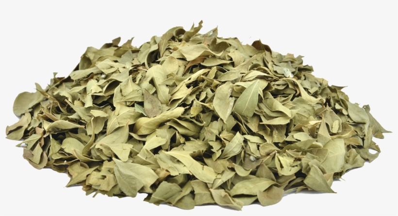 Organic Henna Leaves - Dried Henna Leaves, transparent png download