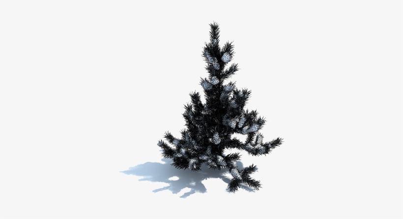 Snow Tree Png Download - Information, transparent png download