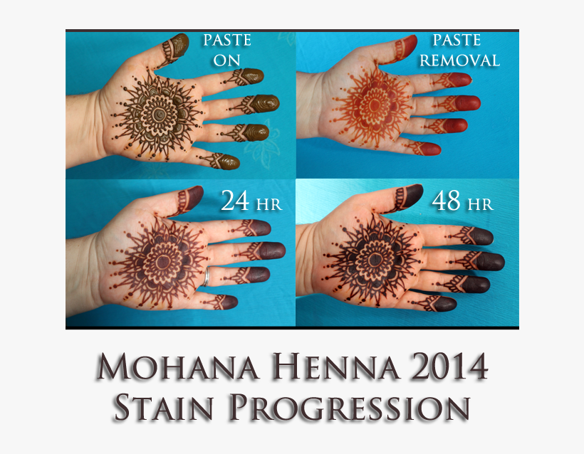 Mohana Henna - Long Do I Leave On Henna Png Image | Transparent Png Free  Download On Seekpng Mohana Henna - Long Do I Leave On Henna Png Image | Transparent Png Free  Download On Seekpng