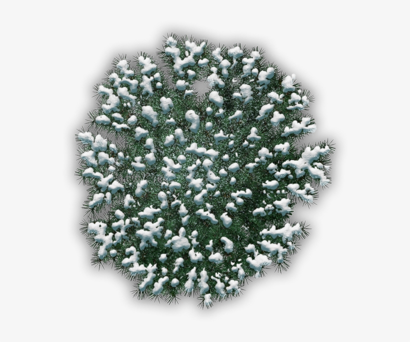 Pine Jhd D 06 Feb 2009 - Imgur Llc, transparent png download