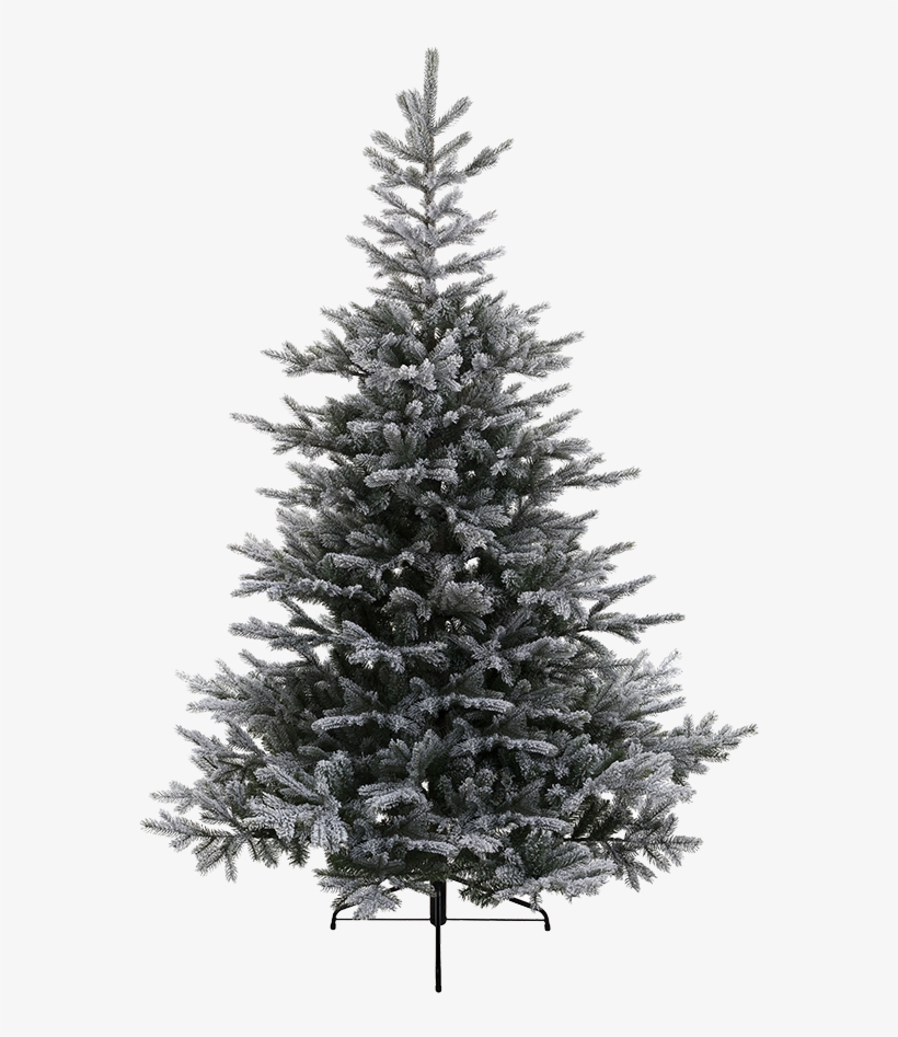 Tree Grandis Fir Snowy, - Kaemingk 6ft Grandis Fir, transparent png download