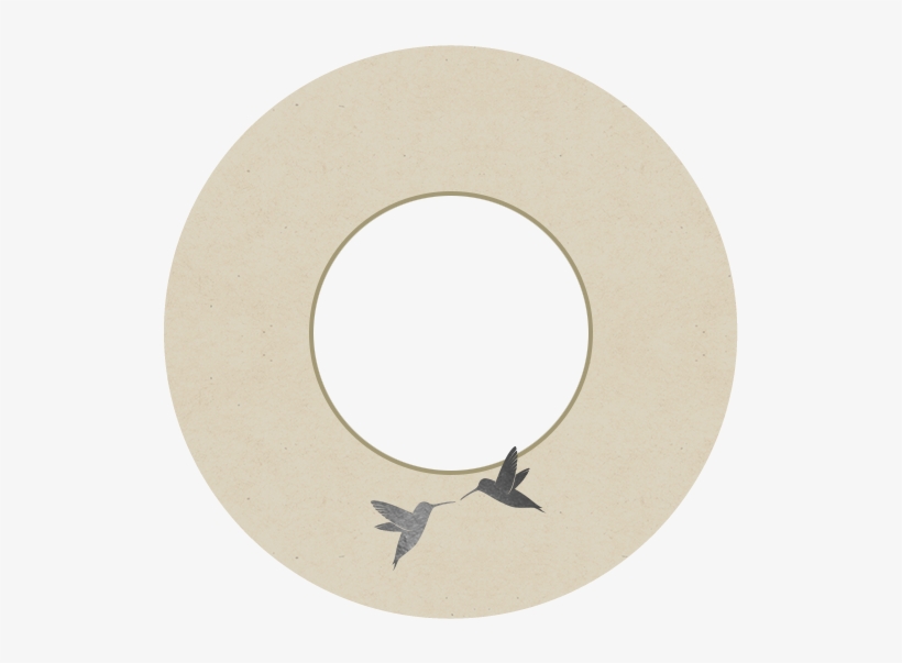 Circle, transparent png download