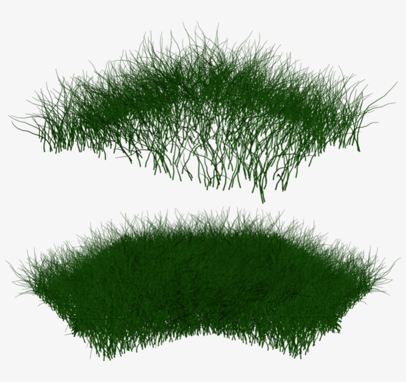Grass Photoshop, Post Pro, Autocad, Project Presentation, - Tree, transparent png download