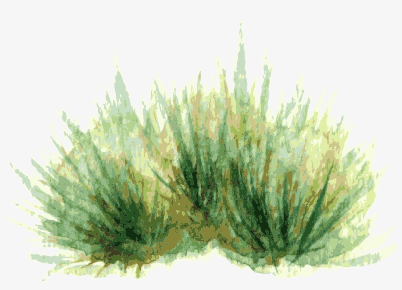 Watercolor Painting Plant Drawing - Watercolor Painting, transparent png download