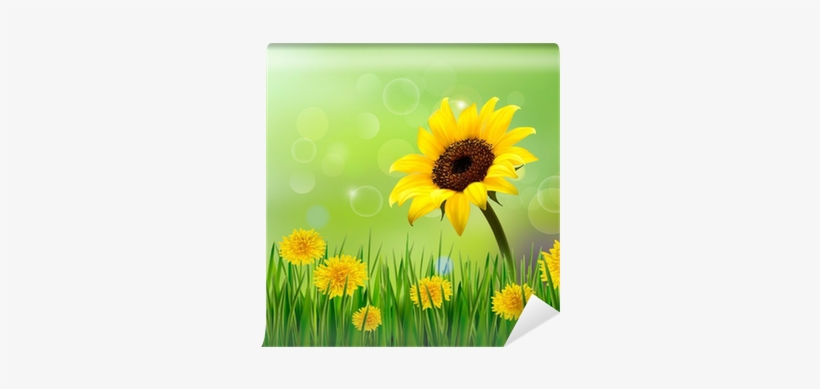 Summer Background With Yellow Flowers And Grass - Sunflowers Badge Reel 5 To Choose From Retractable, transparent png download