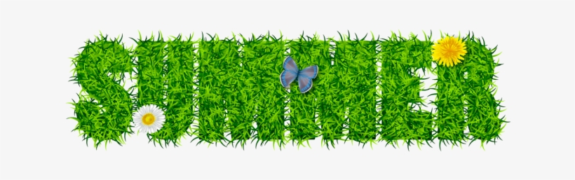 Inscription Summer From The Grass, Summer, Grass, Lawn - Lawn, transparent png download