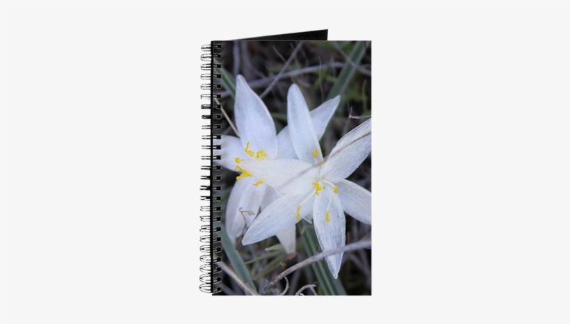 White Sand Lily Flower Journal - Phi Kappa Psi Fraternity Crest In White Wi Journal, transparent png download