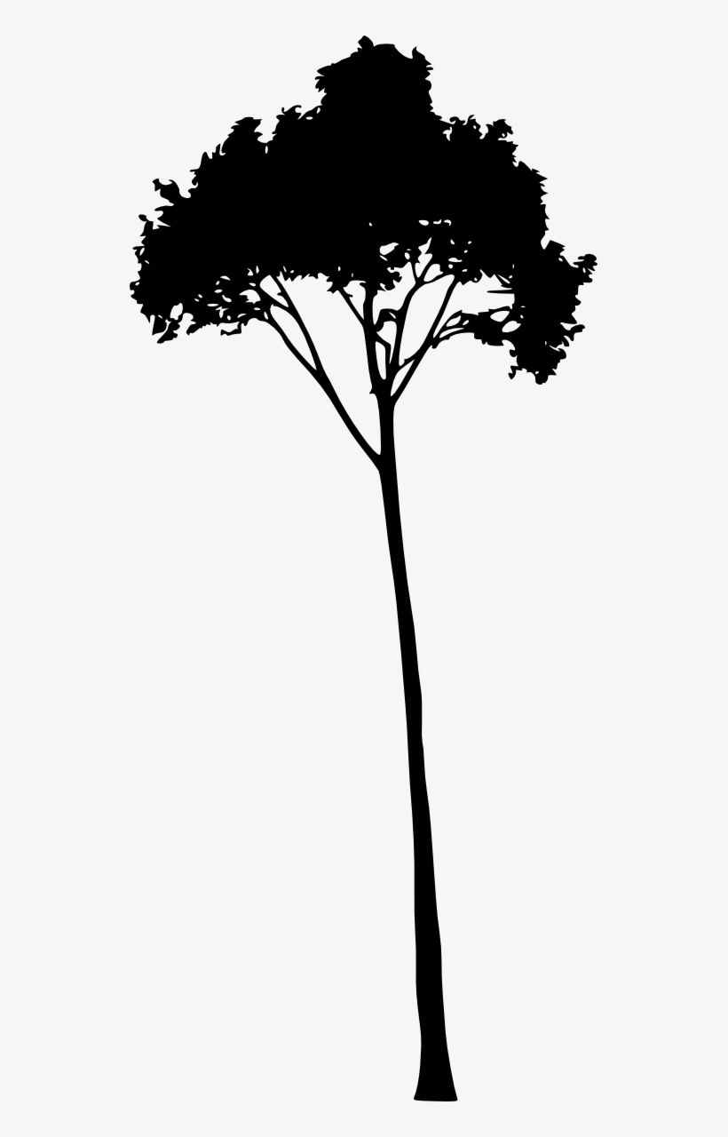 Free Download - Tree, transparent png download