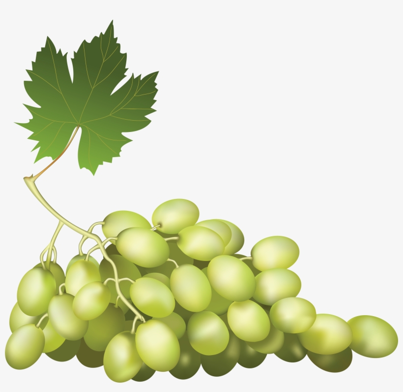 Bow Transparent Png Sticker - Grape Png, transparent png download