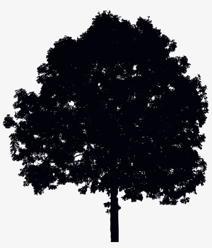 Single Tree Silhouette - Silhouette Simple D'arbre Grand Tote Bag, transparent png download