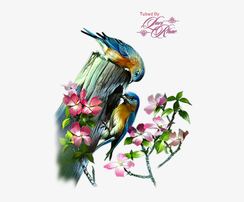 We Remind You That These Tubes Were Made For Educational - Cushion Cover Throw Pillow Case 18 Inch Retro Vintage, transparent png download