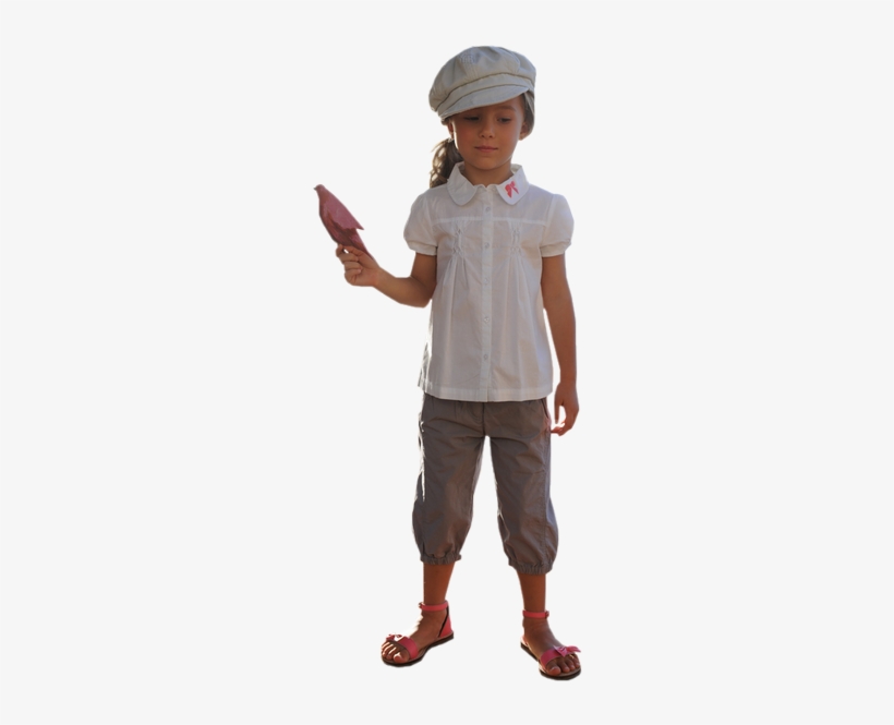 Hebergeur D'image - Oliver Otto, transparent png download