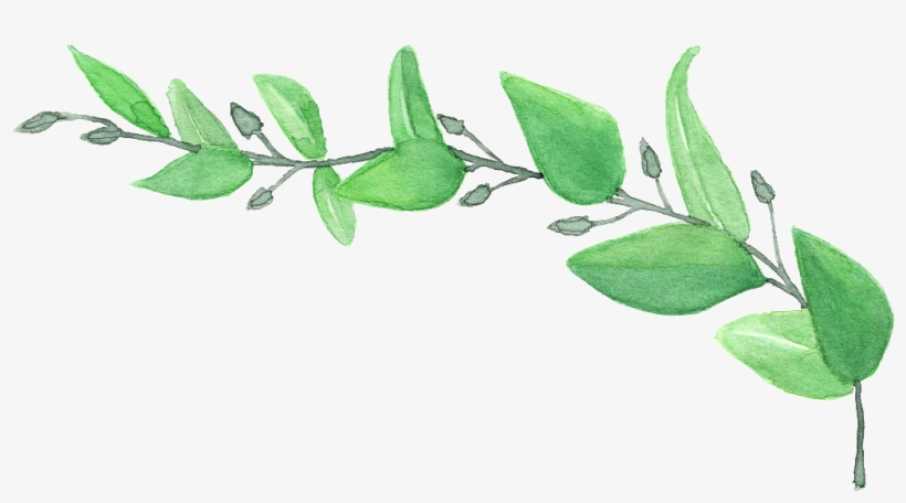 Hand Painted A Leafy Png Transparent - Grün Verlässt Hochzeits-einladung Karte, transparent png download