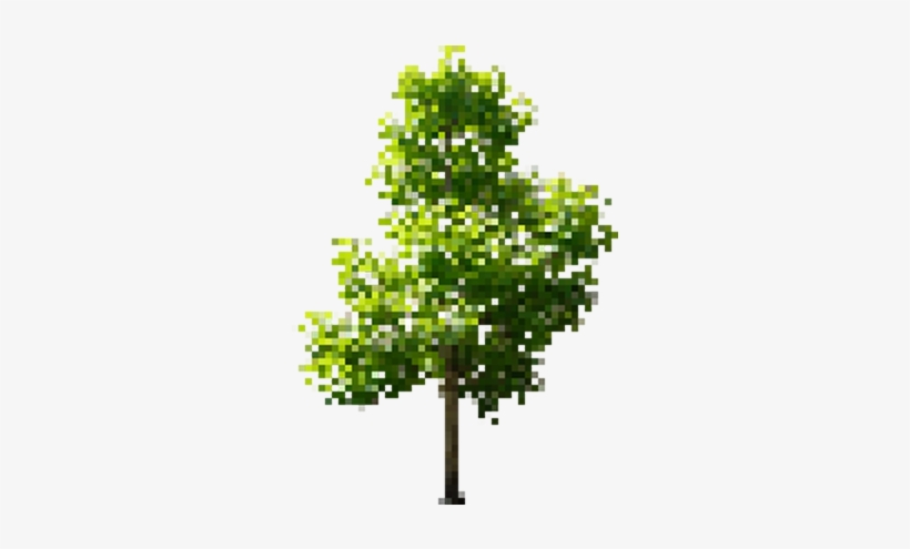 The Problem Is That My Result Always Looks Like This - Tree Pixel Art Png, transparent png download