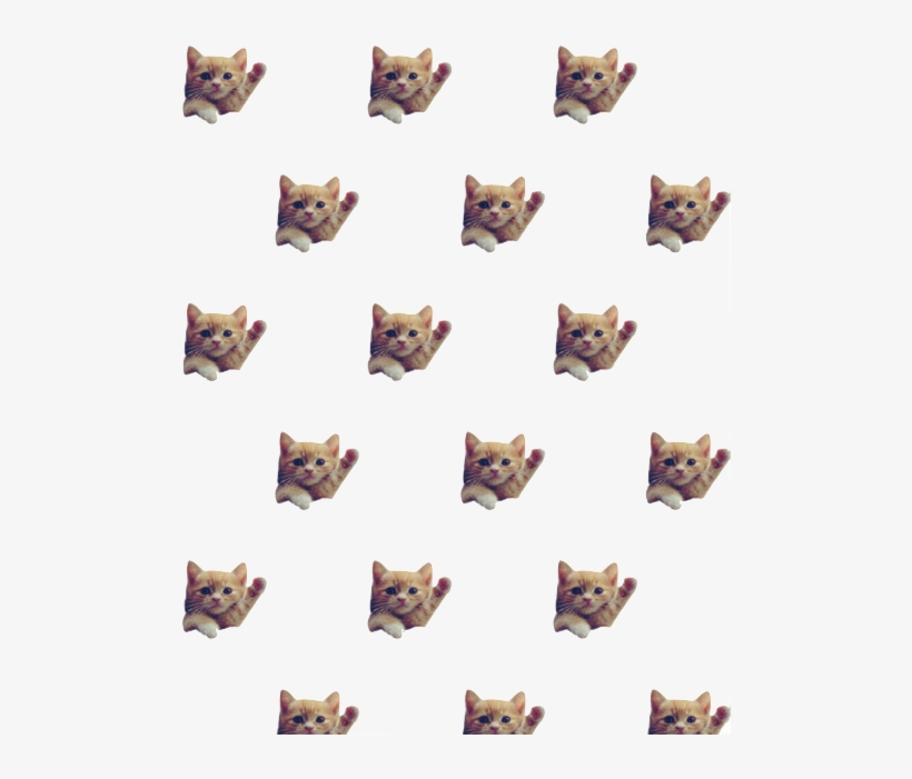 New Girl In Town - Cat, transparent png download