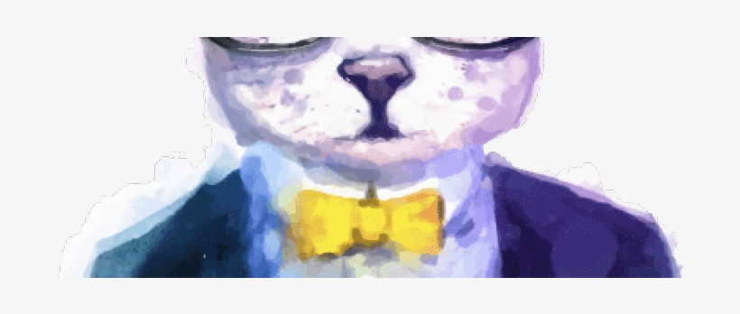 Layerslider 03 Cat - Love Animals 5'x7'area Rug, transparent png download