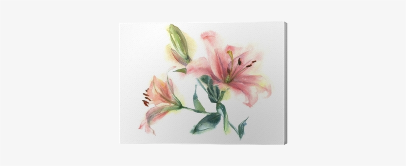 Watercolor Painting Of Flowers - Lirio Y Flores Acuarela, transparent png download