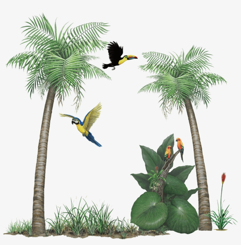 Tropical Rainforest Collection Wall Decals Stickers - Walls Of The Wild Palm Tree Peel, transparent png download