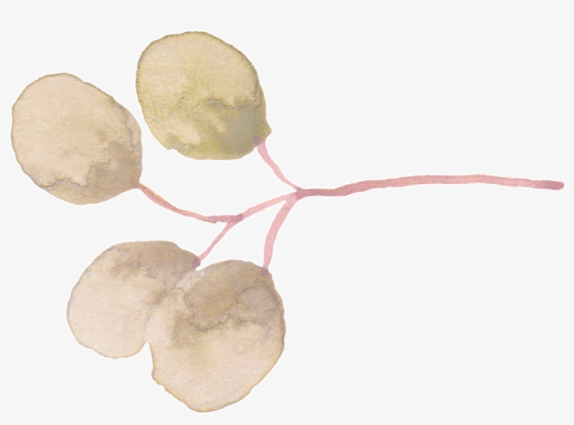 Light Green Round Leaf Cartoon Transparent - Cartoon, transparent png download