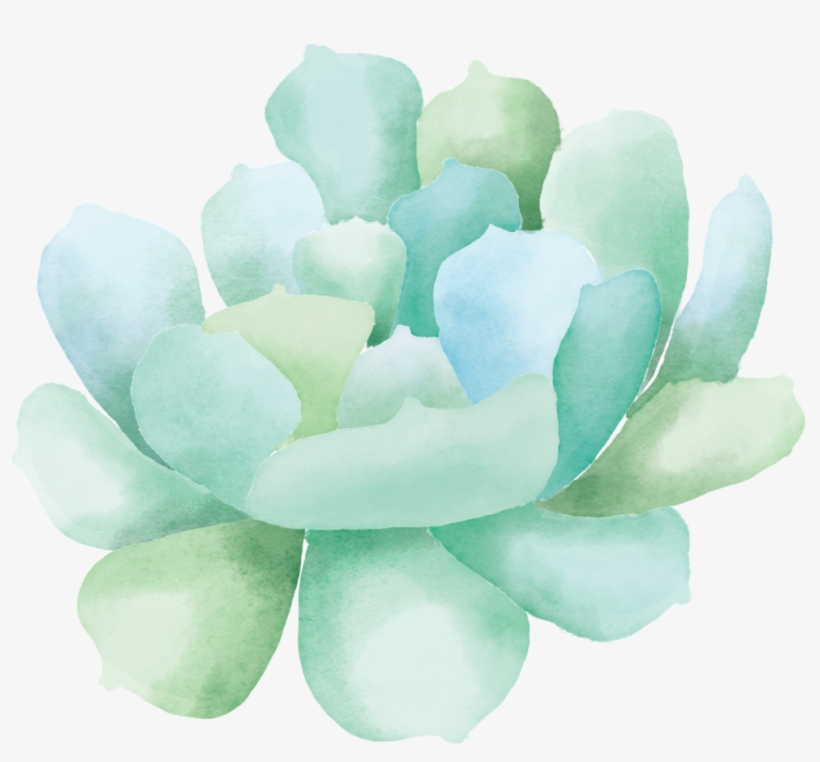 Watercolor Succulent Clip Art7 - Watercolor Painting, transparent png download