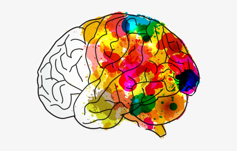 Colourbrain - Eva Heller Teoria Del Color, transparent png download