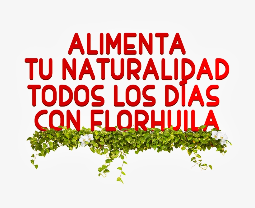 Alimenta Tu Naturalidad Todos Los Días - Graphic Design, transparent png download