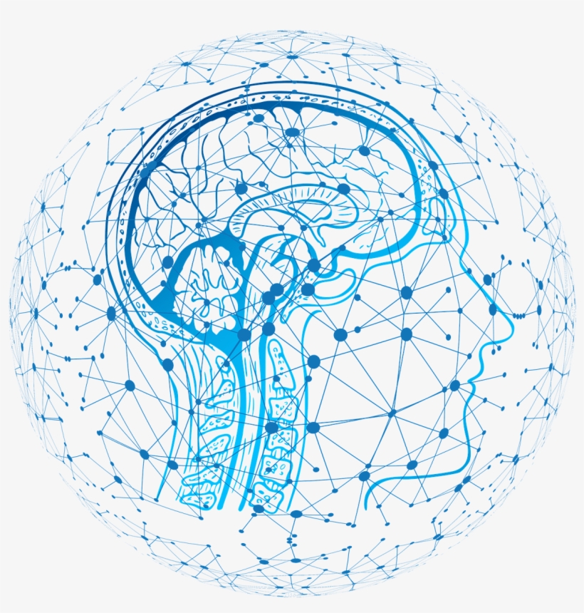Device Allows Three Brains To Connect, Share Thoughts - Effects Of Water On Human Brains: R Risk Of Developing, transparent png download
