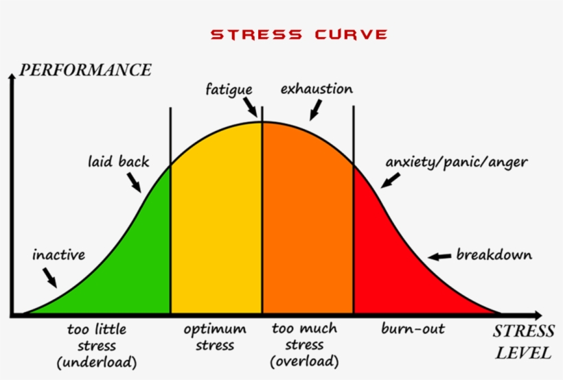 Stress-curve - Stress Levels, transparent png download