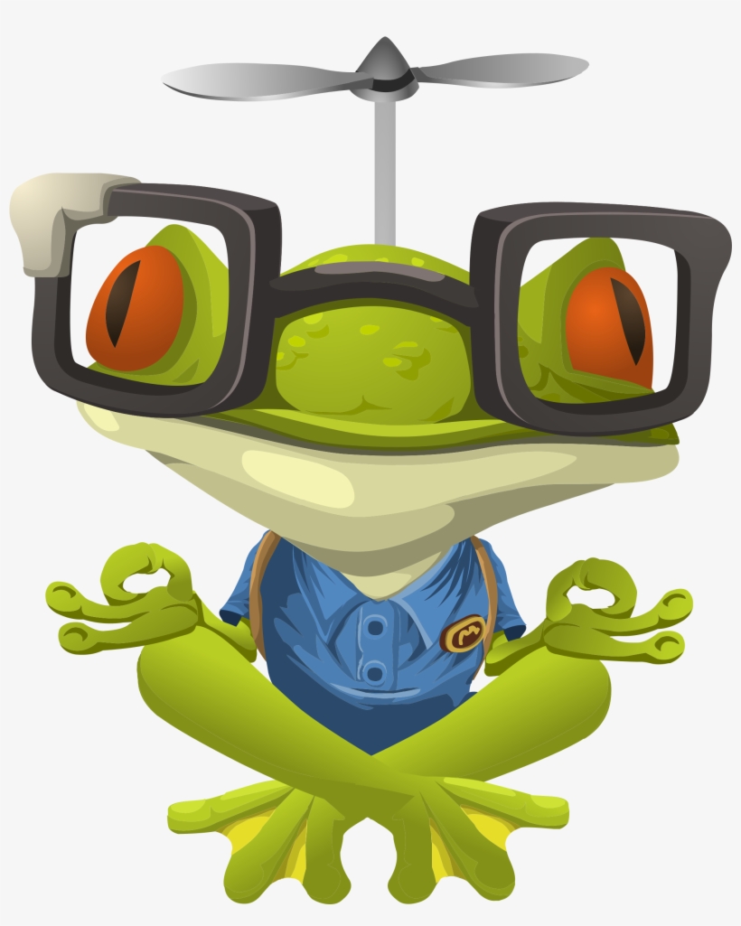 How We're Tackling Web Development's Nagging - Meditating Frog, transparent png download
