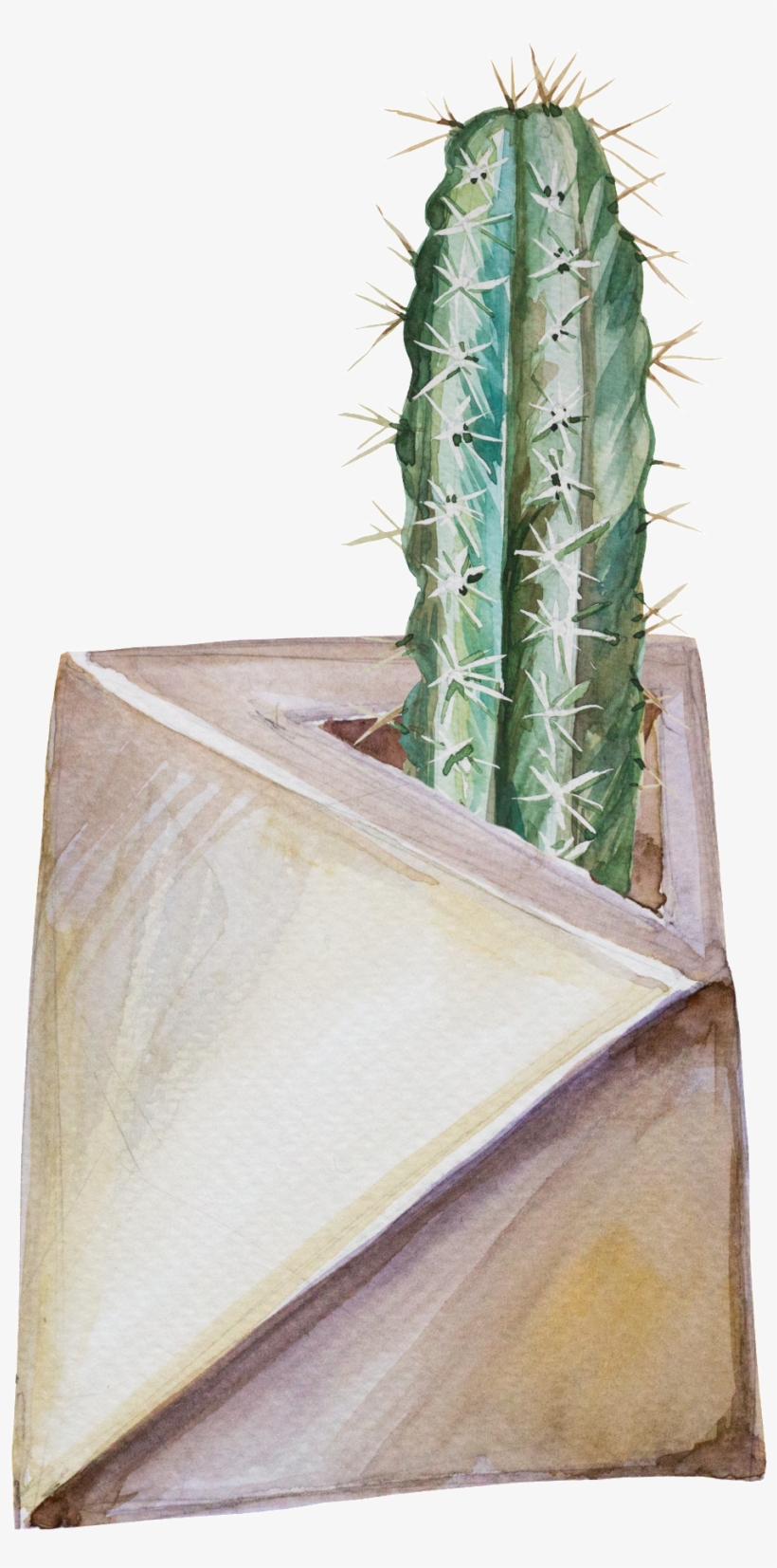 Fine Hand-painted Plant Potted Transparent Material - Portable Network Graphics, transparent png download