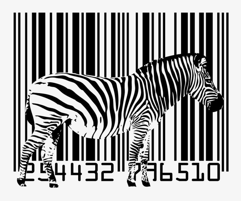 Tener En Cuenta El Tamaño Para No Perder Nuestro Código - Zebra Poster, transparent png download