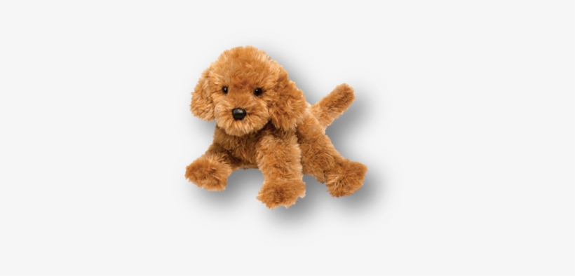 "rocky" Is Lashada's Battle Buddy - Toy Poodle, transparent png download