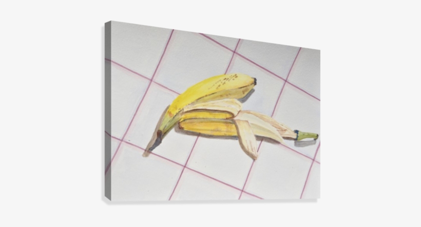 A Study On Bananas Canvas Print - Banana, transparent png download
