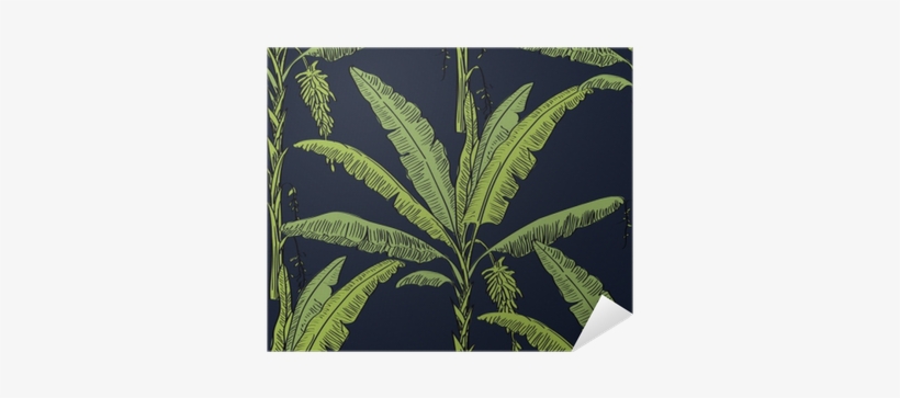 Vector Drawn Banana Palm Tree Seamless Pattern With - Drawing, transparent png download