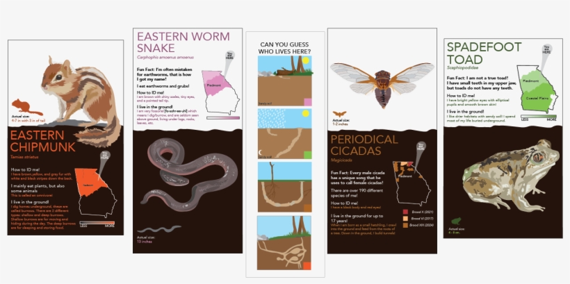 This Project Includes - Flyer, transparent png download