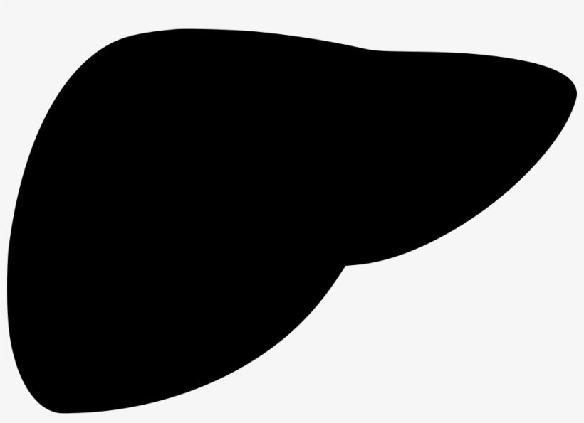 Liver Comments - Liver Png Icon, transparent png download