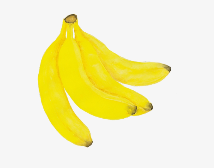 Exclusively At Ganni - Saba Banana, transparent png download