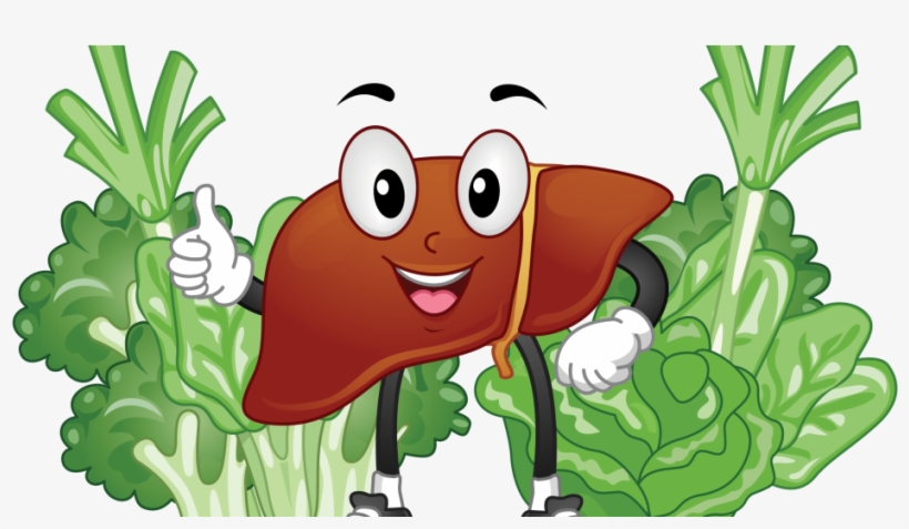 Seven Liver Healthy Foods - Liver, transparent png download