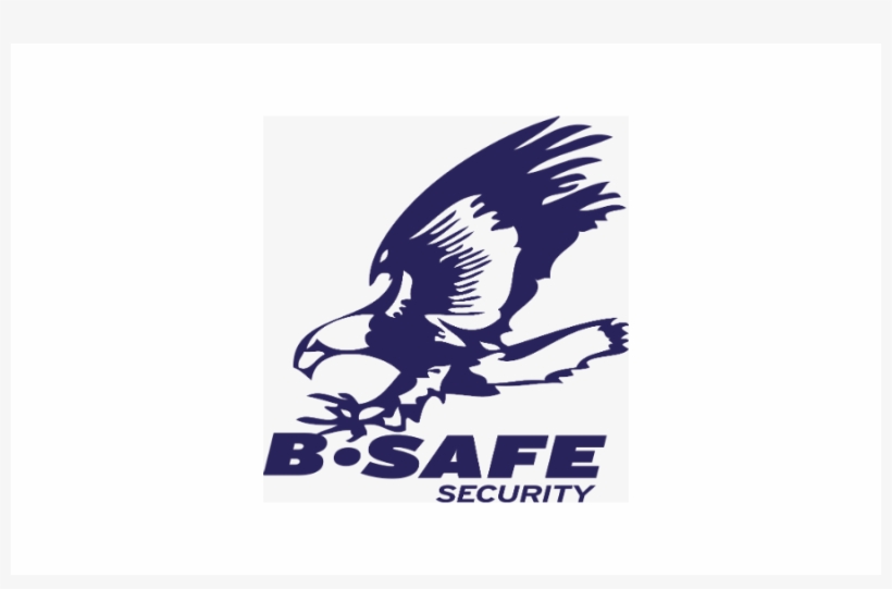 B Safe Marks 4th Acquisition Of 2018 Dcd Fire & Security - Red-tailed Hawk, transparent png download