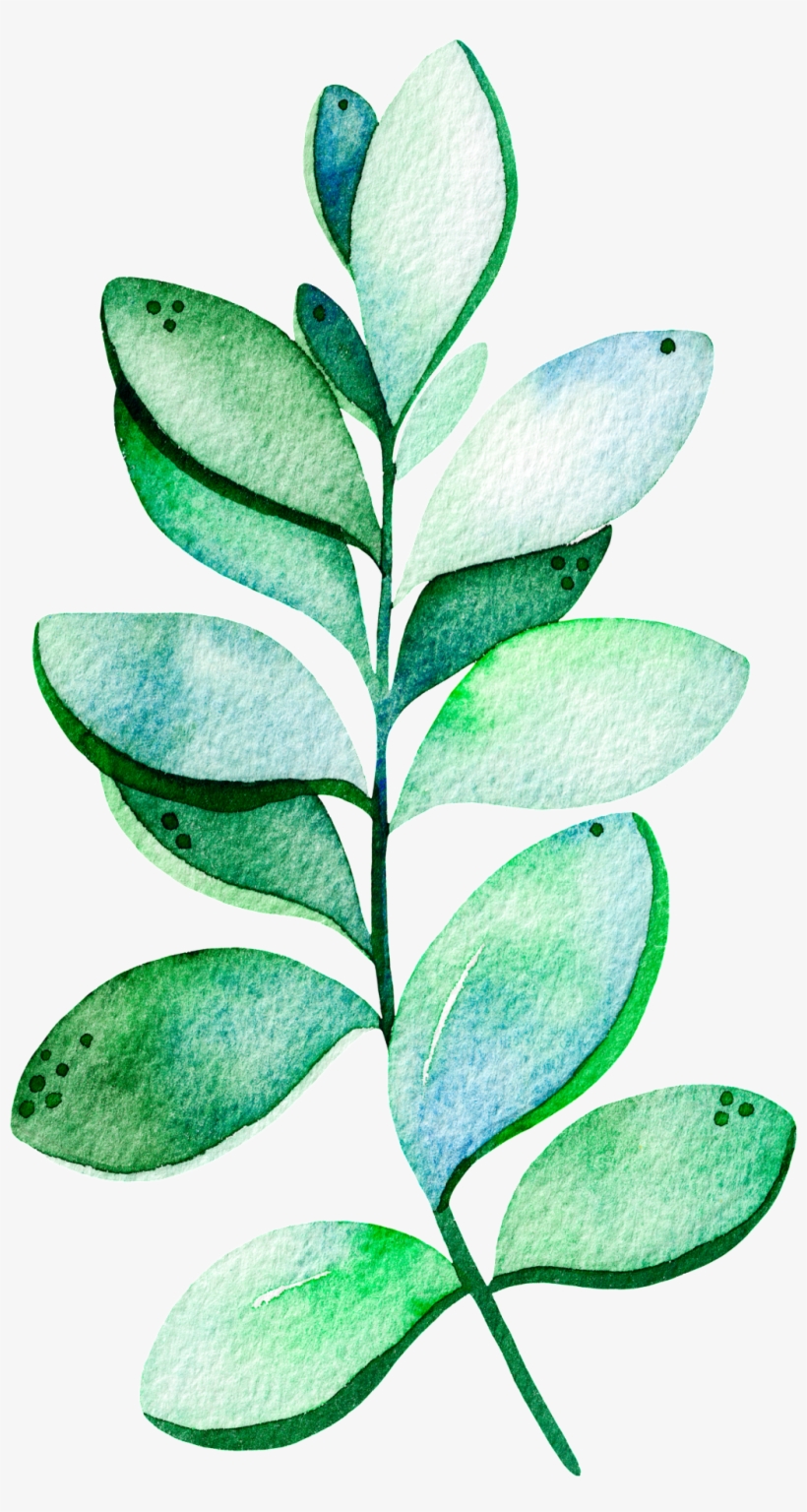 Heypik Transparent Green Plants 27729724 X Oss Process=image/quality,q - Drop, transparent png download