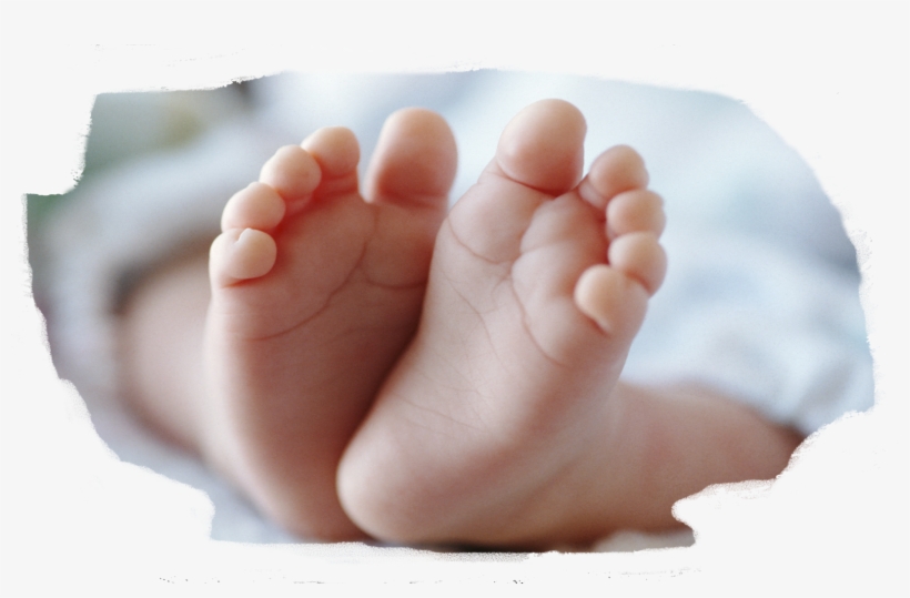 Baby Feet - Irish Pregnancy Book: A Guide For Expectant Mothers, transparent png download