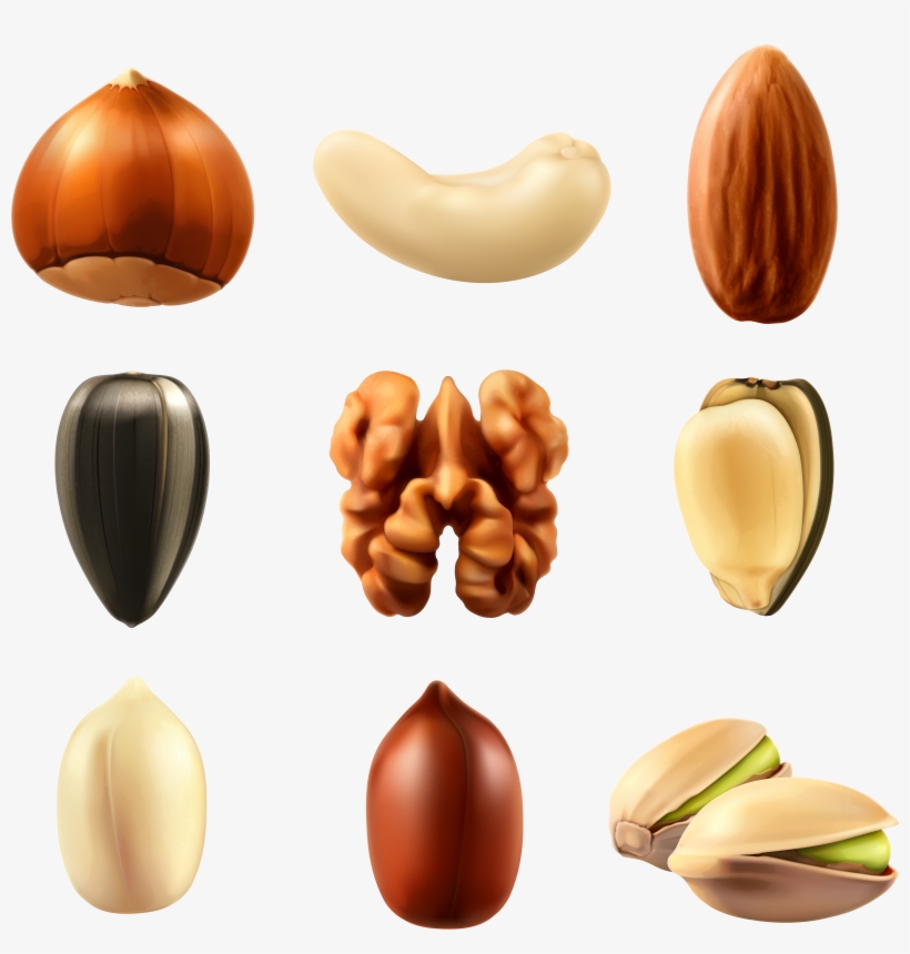 Dry Fruits Vector Png, transparent png download