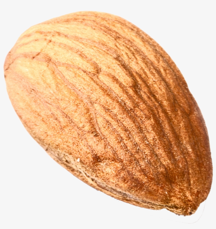 Isolated Single Almond1 - Nut Png, transparent png download